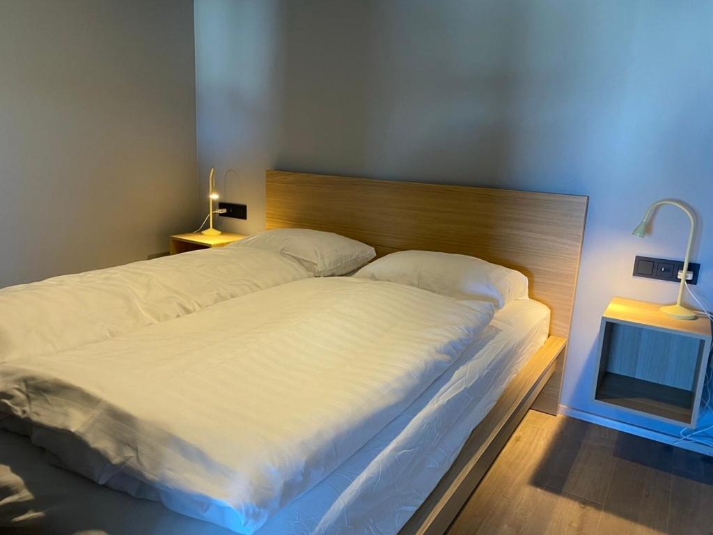 Luxury Loft Akureyri